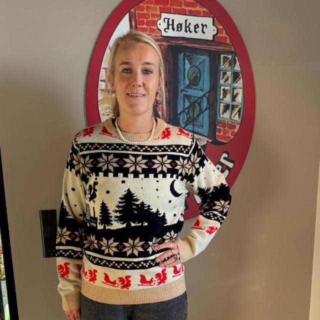 Julesweater