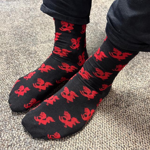 Kok-sokker - All over